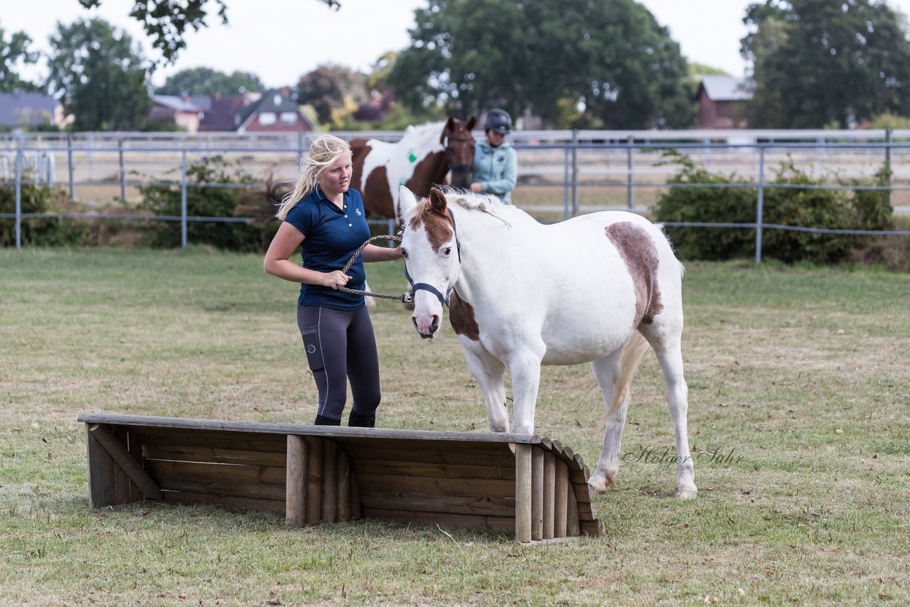 Bild 26 - Pony Akademie Turnier